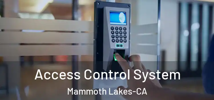  Access Control System Mammoth Lakes-CA