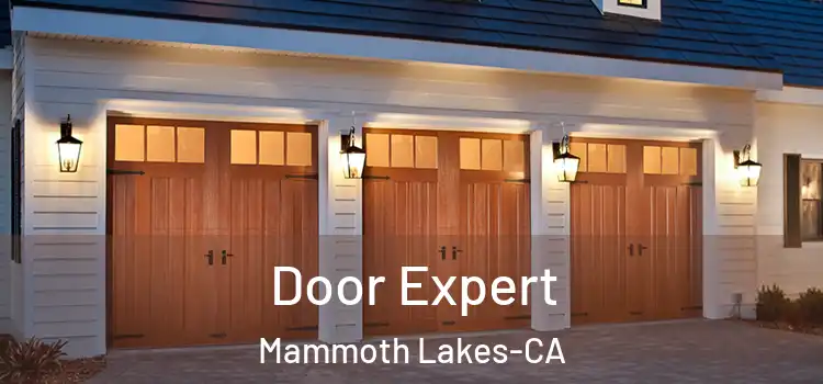 Door Expert Mammoth Lakes-CA