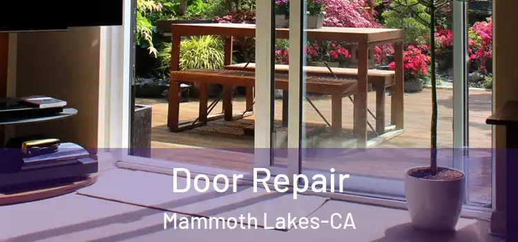 Door Repair Mammoth Lakes-CA