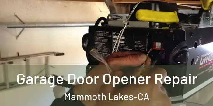  Garage Door Opener Repair Mammoth Lakes-CA