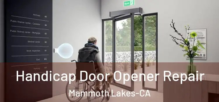  Handicap Door Opener Repair Mammoth Lakes-CA