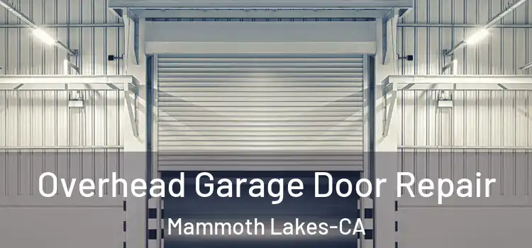  Overhead Garage Door Repair Mammoth Lakes-CA