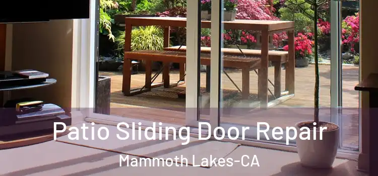  Patio Sliding Door Repair Mammoth Lakes-CA